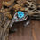 Thumbnail: Navajo Sterling Silver and Turquoise Cuff Bracelet by Allen Chee