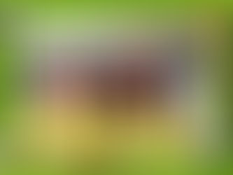 CELEBRANDO EL 20 DE  JULIO.