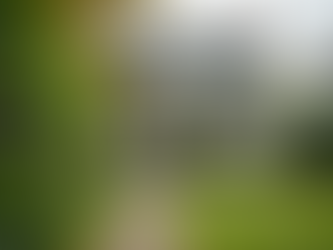 Mastering the Basics of Rental Property Management