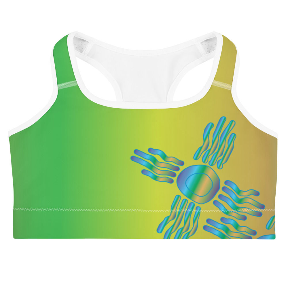  Squiggly ZIA Gradient 101 ZIA Sports bra