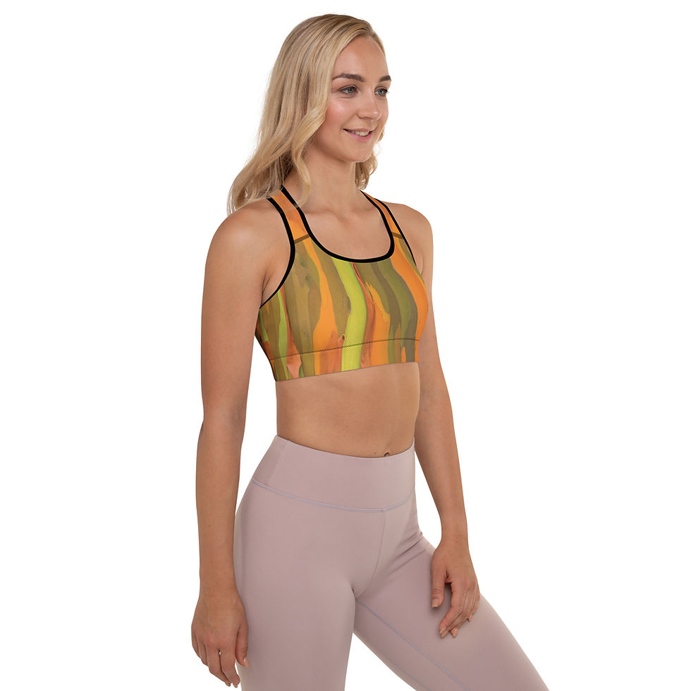 Thumbnail: Desert Rain Padded Sports Bra