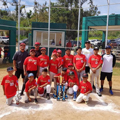 Little League.jpeg