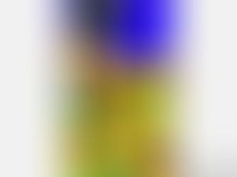 Hot Deals! Sunflowers - Freedom Ukraine Peace Ukrainian Flag  iPhone 13 Pro Case