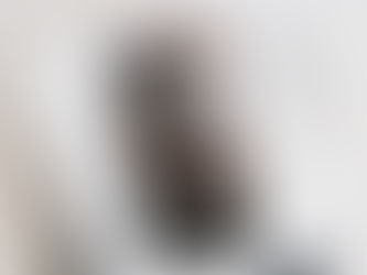 Hot Review! Cute Cat Lover Photo iPhone 13 Pro Case