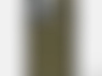 Big Deals! William Morris: Green Honeysuckle Otterbox Case