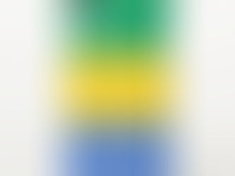 Top 5! Gabon flag iPhone XR case