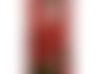 Best Price! Van Gogh Almond Blossoms Red Uncommon Google Pixel XL Case