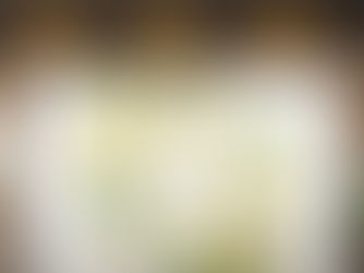 Top 5! Modern Yellow Lemons Frame & Leaves With Name HP Laptop Skin