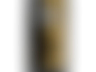 Top 10! Gold Glitter & Black Marble Stone Texture Print LifeProof FRĒ iPhone SE/5/5s Case