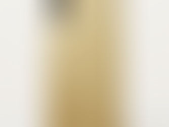 Hot Deals! Elegant Faux Gold Glitter Luxury iPhone X Case