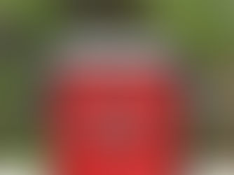 Top 5! Monogram name red glitter bluetooth speaker