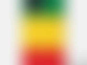 Best Price! Green, Gold (Yellow) and Red Colors Flag iPhone 13 Pro Max Case