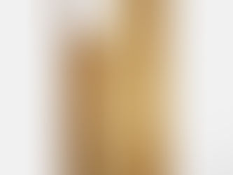 Review Case-Mate Phone Case, Apple iPhone 12 Pro iPhone 12 Pro Case