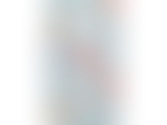 Best Deals! Colorful Flowers And Butterflies Pattern Uncommon Google Pixel XL Case