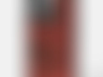 Best Price! Poppy garden in coral and brown OtterBox iPhone 14 pro max case