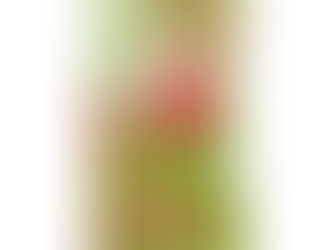 Top 10! With much Love Red Yellow Hearts Fractal Art Uncommon Google Pixel XL Case