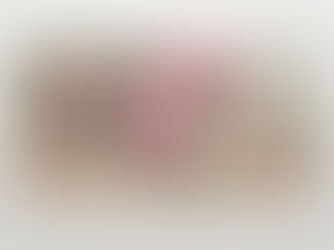 Top 5! French country chic,shabby chic, pink roses, flora iPhone x case