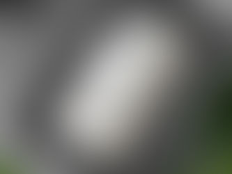 Hot Deals! Chic Retro Stripes Monogram  iPhone 13 Pro Max Case