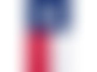 Review Dynamic Texas State Flag Graphic on a Uncommon Google Pixel Case