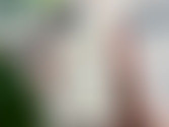 Big Deals! Possums in a Berry Field in White iPhone 13 Pro Max Case