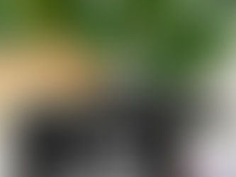 Review 82nd Airborne Division Bluetooth Speaker