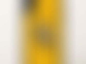 Hot Deals! Idaho Mascot OtterBox Symmetry iPhone X Case