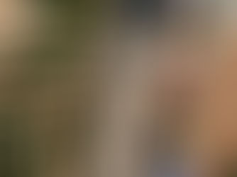 Best Price! Leopard Print 3 Vertical Photo Natural iPhone 13 Pro Max Case