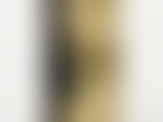 Best Deals! Gold Black Damask Gold Swirls iPhone XR Case