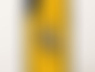 Hot Deals! Idaho Mascot OtterBox Symmetry iPhone X Case