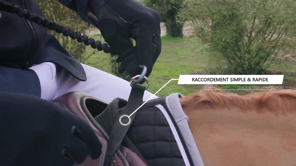 Miniatura: Accroche sangle élastique de raccordement Segura Equitation