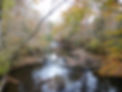 Densons Creek.JPG