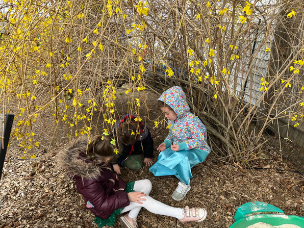 Under the forsythia.jpeg