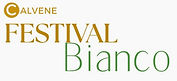 FestivalCompleto_edited.jpg