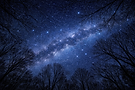 NIGHT SKY_ChatGPT Image Jan 12, 2026.png