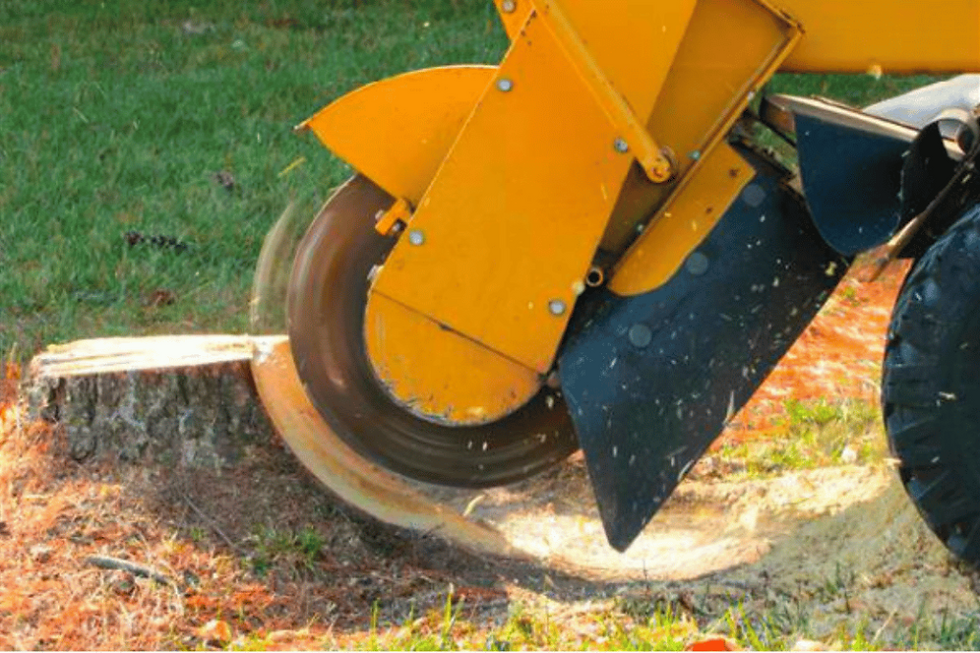 Stump grinding card.png