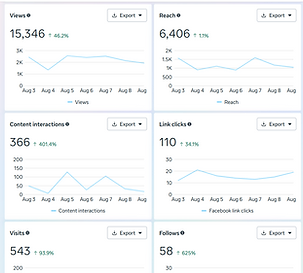 bigtilt media, big tilt media, analytics, insights, social media management, social media marketing, digital marketing, small business growth