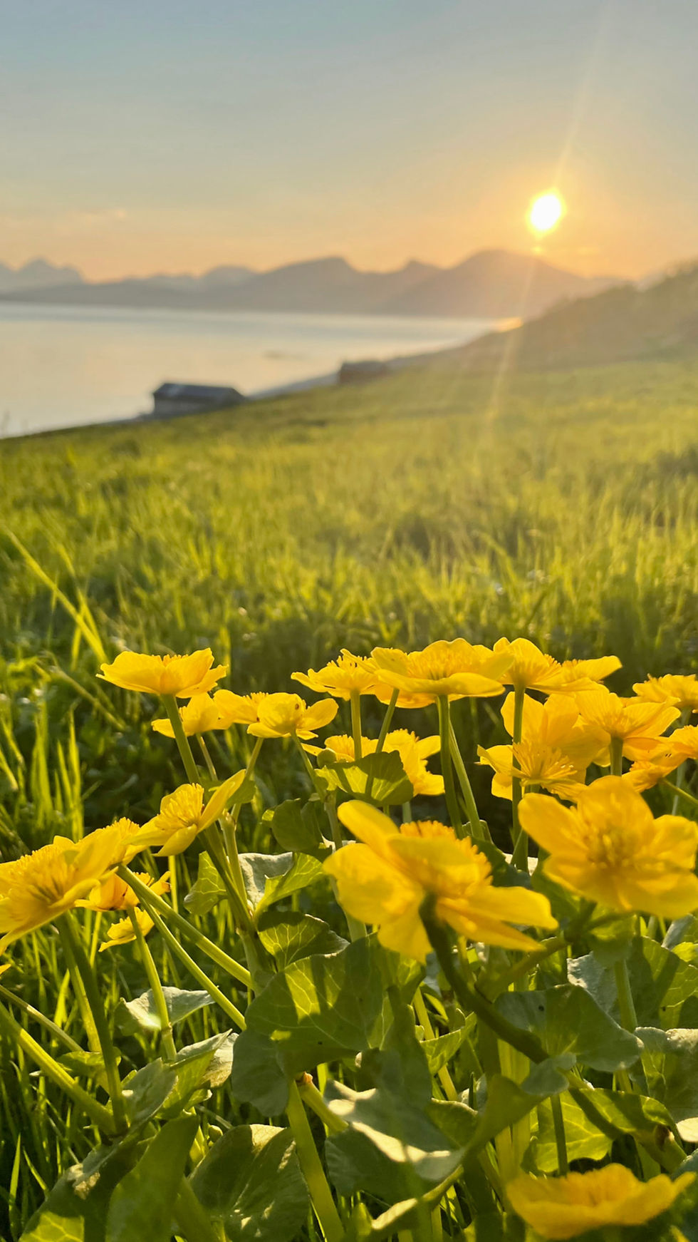 FCD9C885-81D7-430C-A50E-D678CF09C4D3