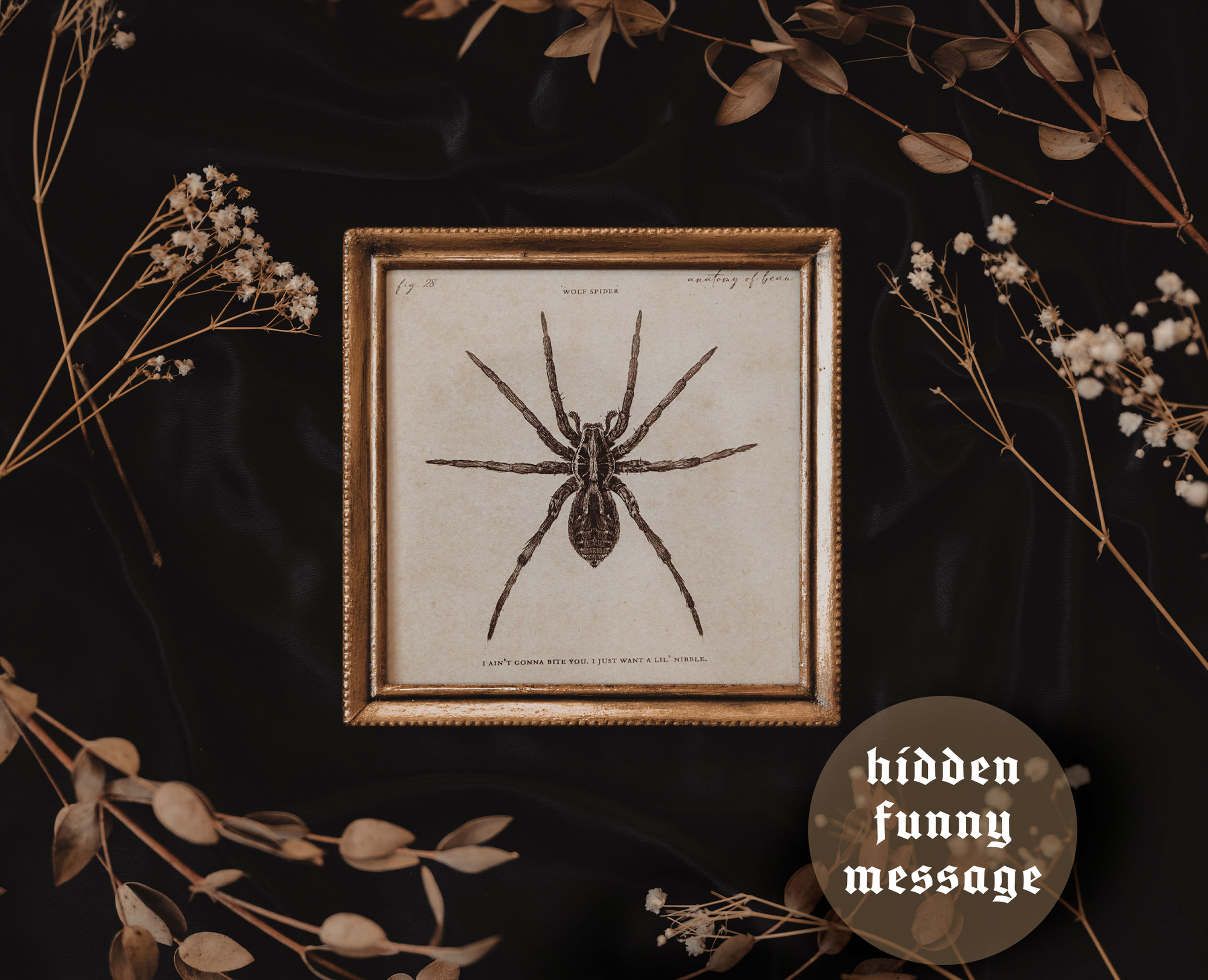Wolf Spider Print (5x5 inch)