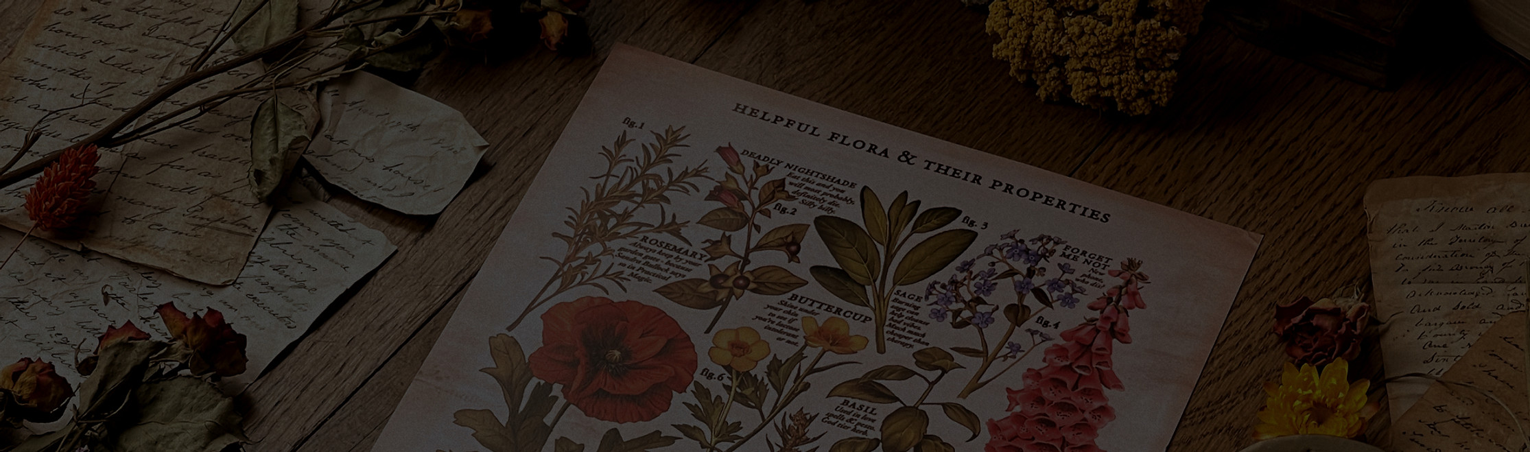 IMG_3933 2_edited.jpg