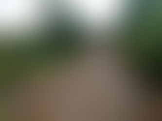 पाणंद रस्ता (मळा )