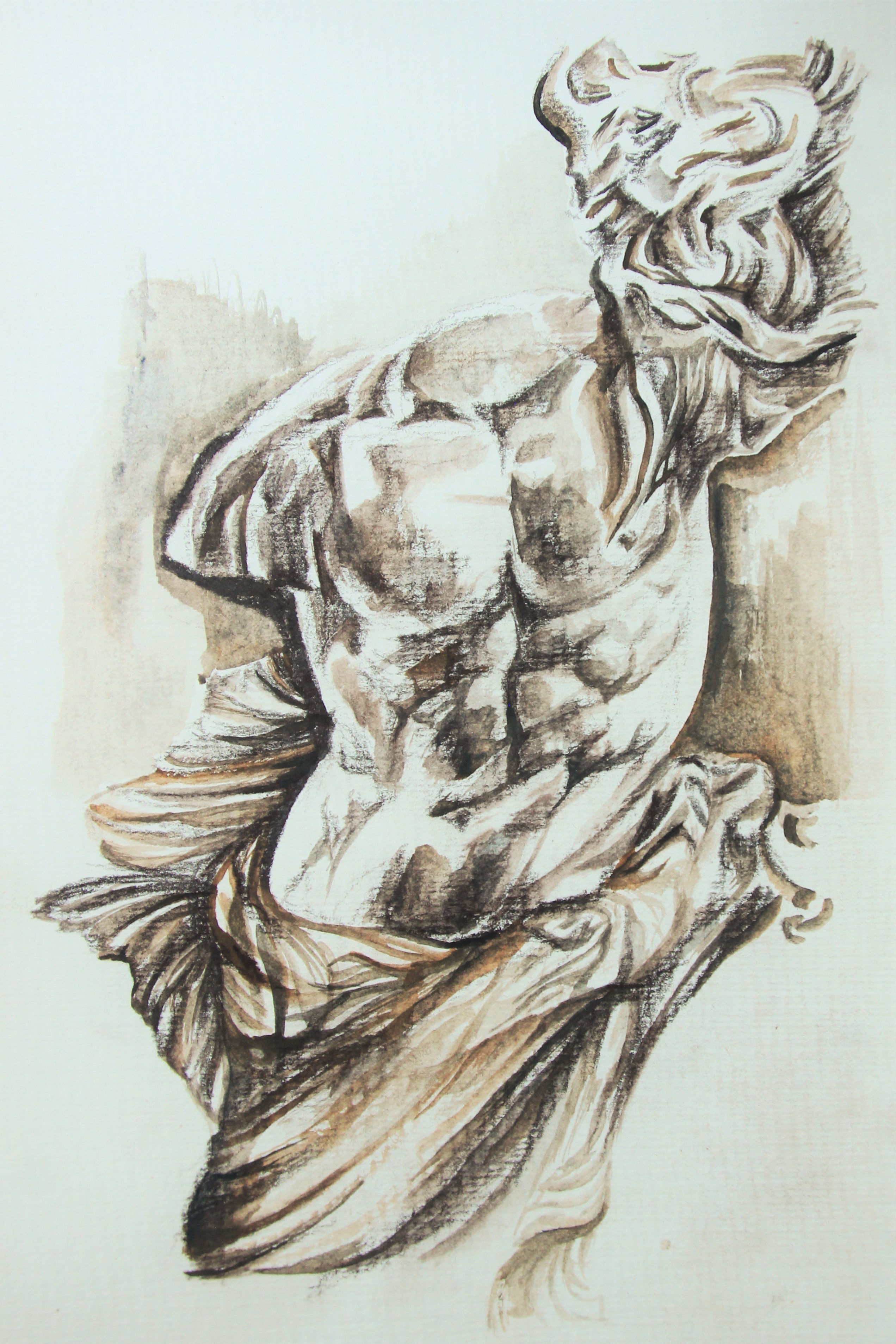 torso
