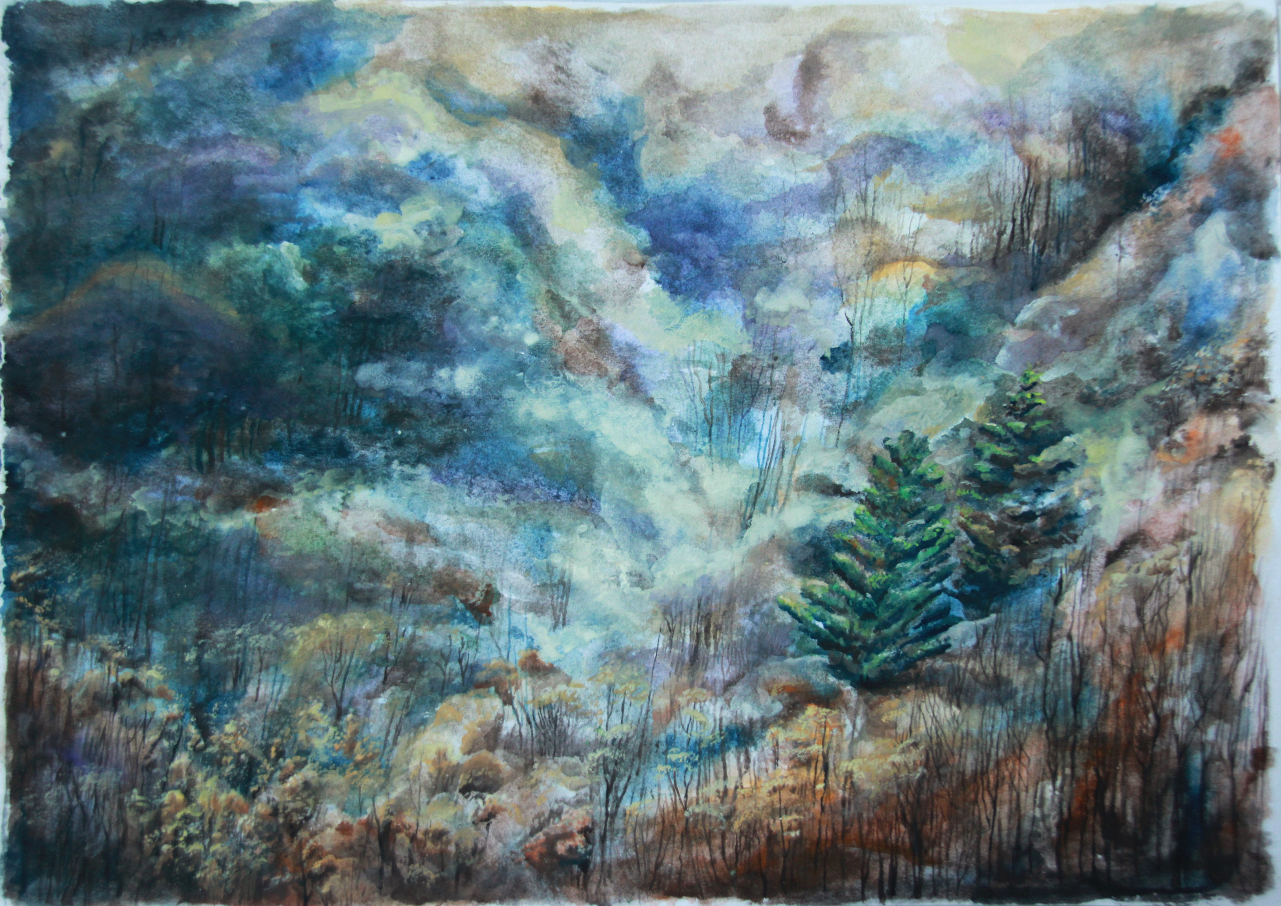 mysterios forest