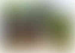 A gift voucher for a stay at Marsh Farm Glamping