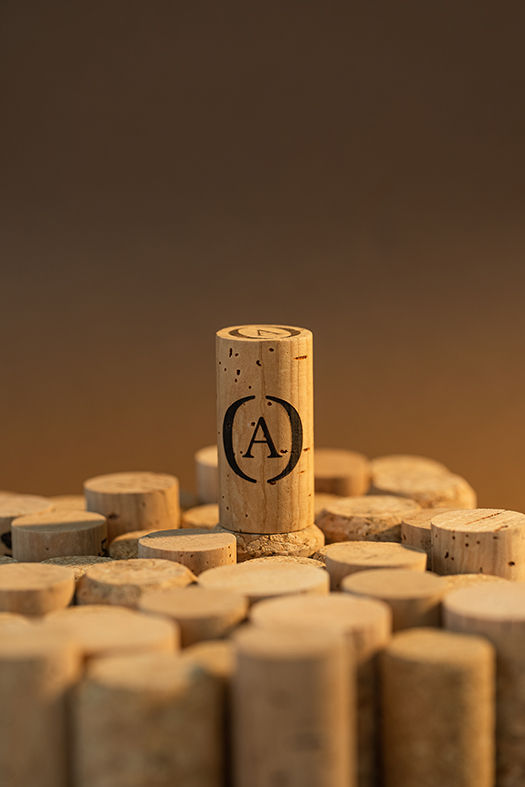 29 June br.jpg