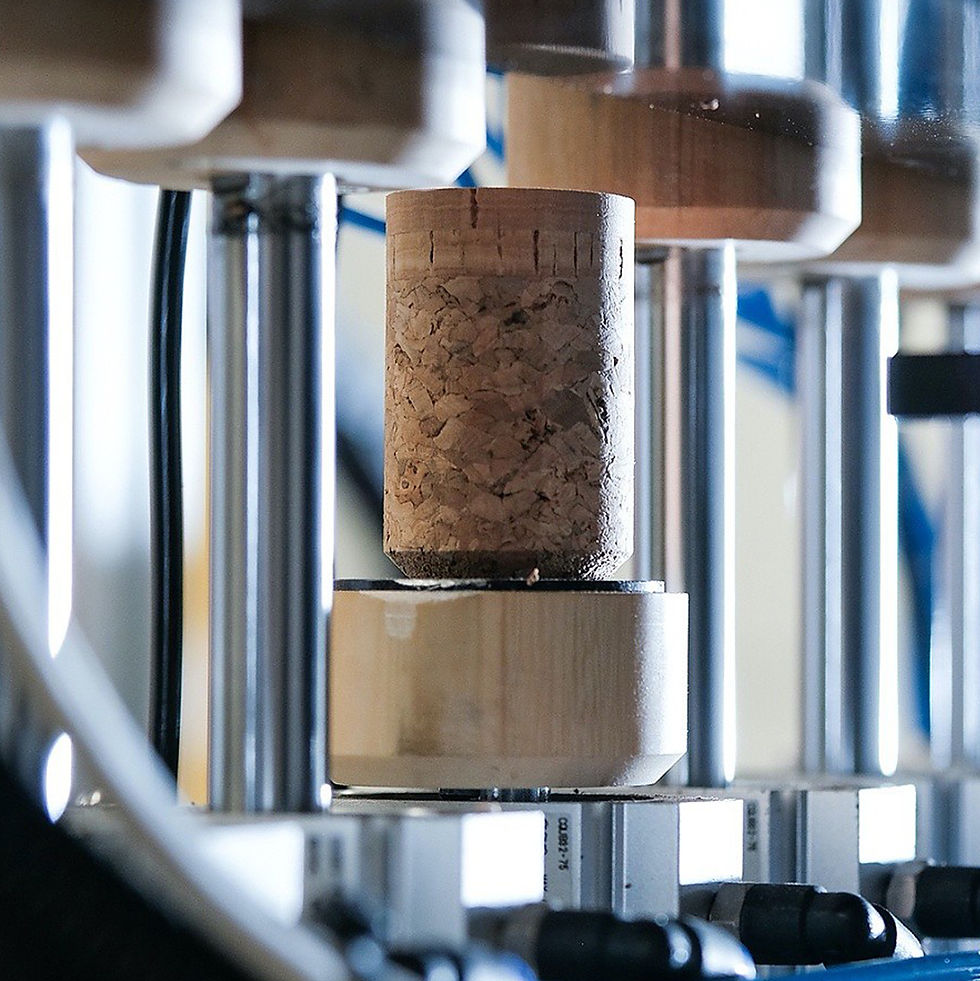 Spumante Spark 02 NDtech® è un tappo in sughero per spumanti con tecnologia NDtech®