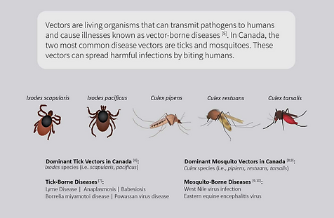 Cathy Le - National Collaborating Centre of Infectious Diseases - Effects of Climate Change on Vector borne diseases
