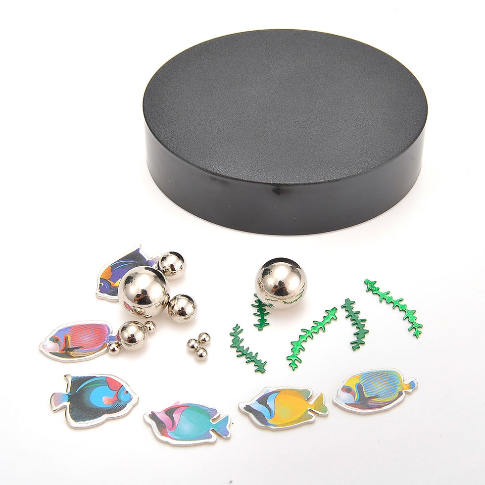 Thumbnail: Magnetic Desktop Sculpture (Aquarium)