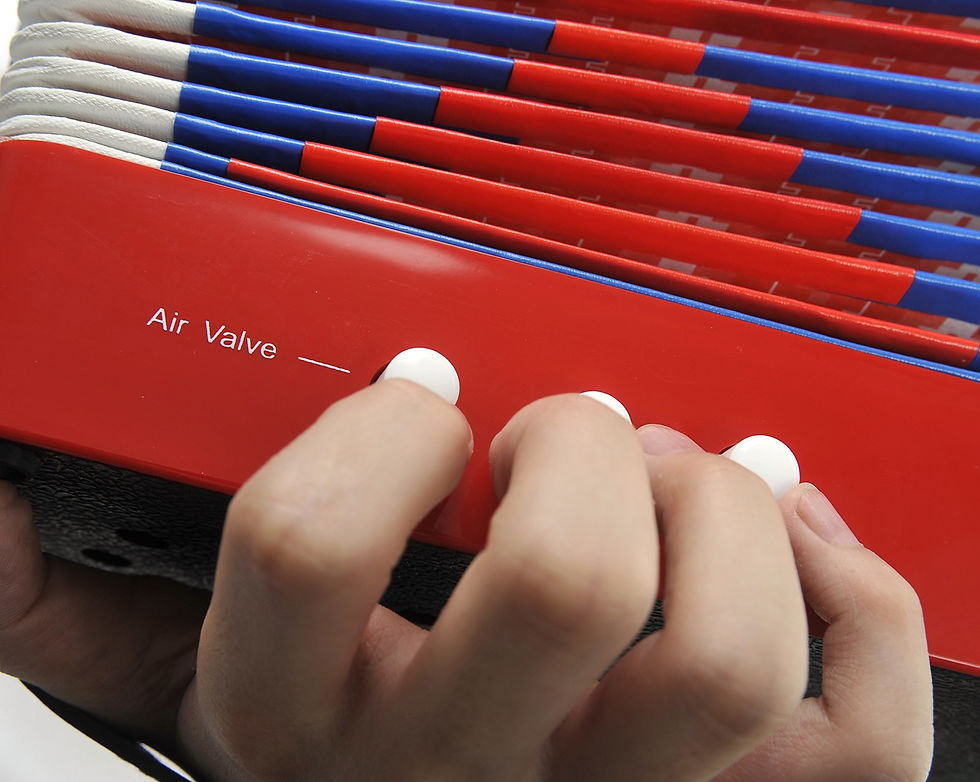 Thumbnail: Children's Musical Instrument Accordion (Red)
