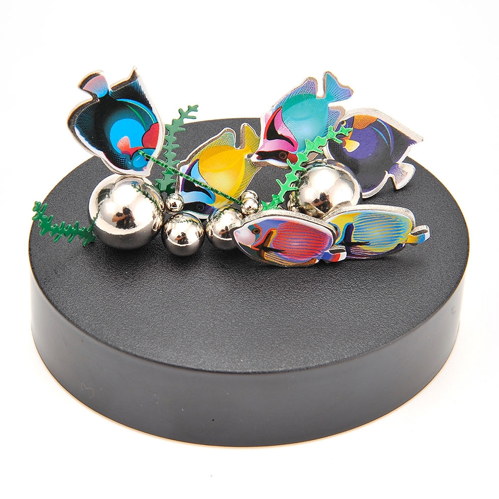 Thumbnail: Magnetic Desktop Sculpture (Aquarium)