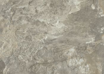 D4113 Light Gray